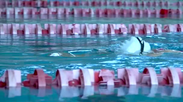 Schwimmen. Schwimmerin bei sonnigem Tag im blauen Wasser im Einsatz. — Stockvideo