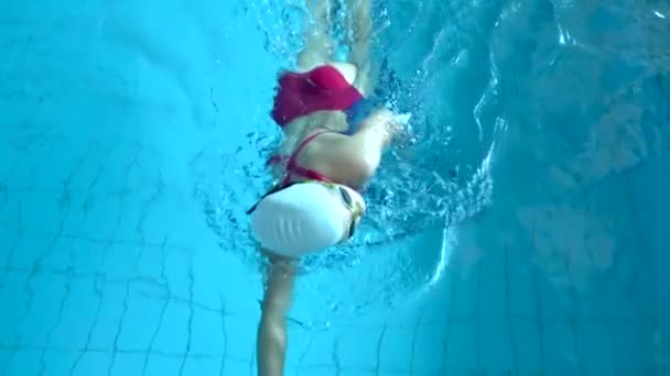 Acabamento de natação. Movimento lento da jovem nadadora praticando freestyle na piscina. Mulher terminando corrida de natação — Vídeo de Stock