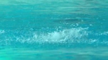 Su Yüzme havuzunda Pratik Yapan Profesyonel Yüzücü.