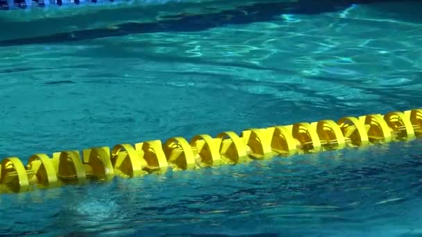 Hübsches junges Mädchen taucht unter Wasser im Schwimmbad auf. — Stockvideo