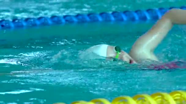 Profesjonalny pływak praktykujący w wodzie basen. — Wideo stockowe