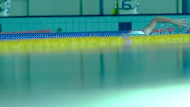 水上スイミングプールで練習するプロの水泳選手. — ストック動画