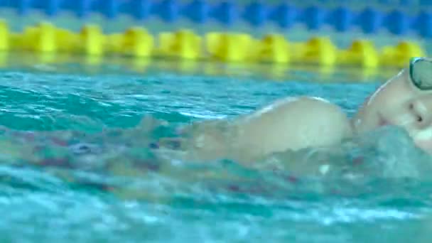 Nadador profesional practicando en la piscina de agua . — Vídeo de stock