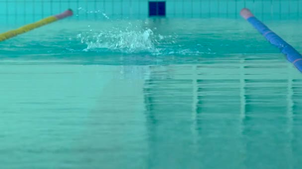 Professionelle Schwimmerin übt im Schwimmbad. — Stockvideo