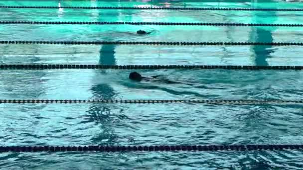 Amateur nadador practicando en la piscina de agua . — Vídeo de stock