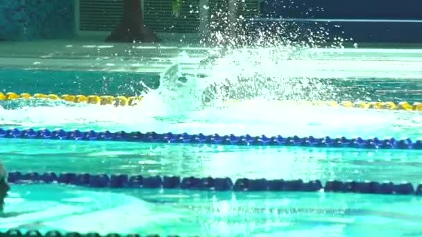 Amator ženský atlet, který dělá motýlka při tréninku ve vnitřním bazénu, pomalý pohyb, plný HD stabilní záběr — Stock video