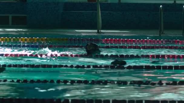 Silhouette de nageur méconnaissable dans la piscine avec de l'eau bleue et des séparateurs de pistes de natation — Video