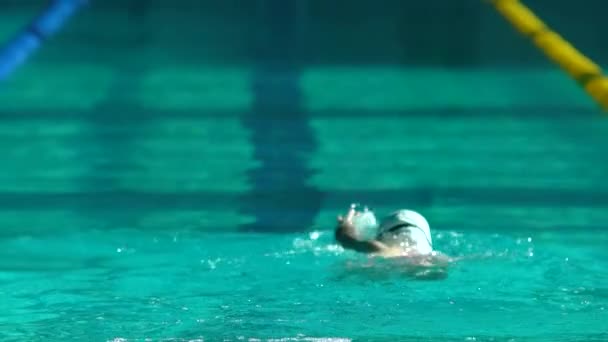 Amator Swimmer Practicing in Water Swimming pool. — Stock Video