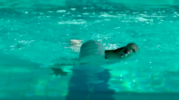 Amateur nadador practicando en la piscina de agua . — Vídeo de stock