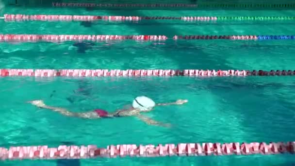 Amator Swimmer ćwiczenia w wodzie basen. — Wideo stockowe