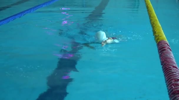 Amatore nuotatore pratica in piscina d'acqua . — Video Stock