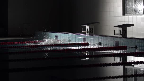 Teenager-Schwimmerin taucht in Schwimmbad ein. Schwimmerin taucht im Schwimmbad für eine Schwimmübung ab. Nachtschuss — Stockvideo