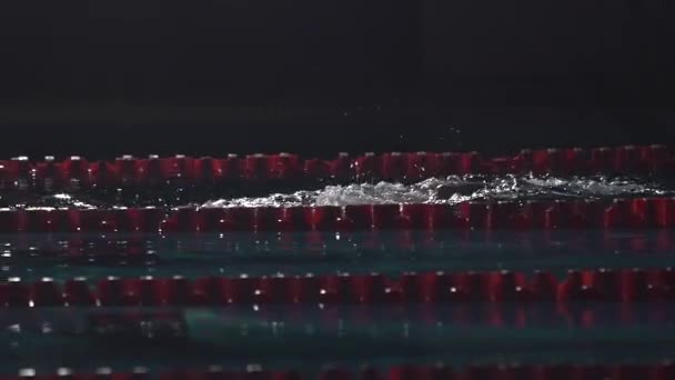 Le nageur masculin saute du bloc de départ et commence à nager dans la piscine. Entraînement sportif professionnel : plongée et éclaboussure la surface de l'eau. Plan nocturne — Video