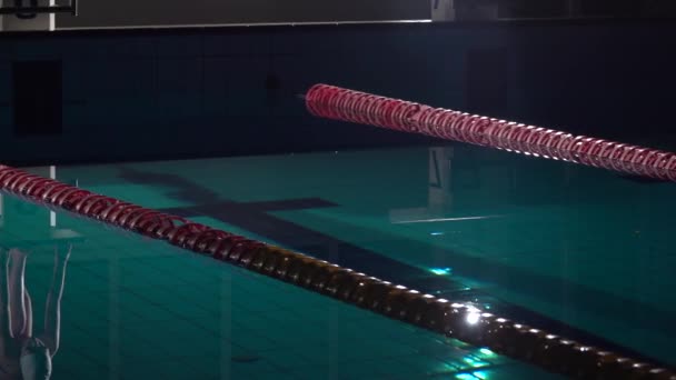 Плавець голова стрибок в басейні для початку плавати матчу. Ніч постріл — стокове відео