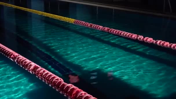 Unrecognizable nuotatore maschile salta fuori blocco di partenza e iniziare a nuotare in piscina. Allenamento atleta professionista: immersione e spruzza la superficie dell'acqua. Colpo di notte — Video Stock