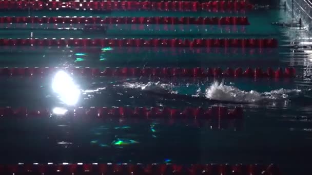 Le nageur masculin commence le bloc et commence à nager dans la piscine. Entraînement sportif professionnel : plongée et éclaboussure la surface de l'eau. Plan nocturne .