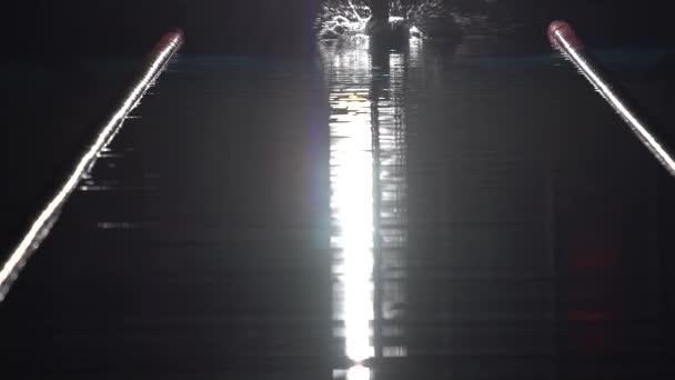 Swimmer jumping in deep water in swimming pool slow motion. Night shot — Stock Video