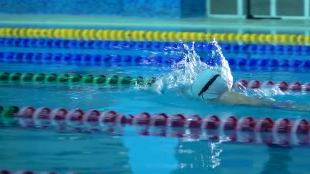 Professionele zwemmer oefenen in water zwembad. — Stockvideo