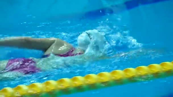 Professionelle Schwimmerin übt im Schwimmbad. — Stockvideo