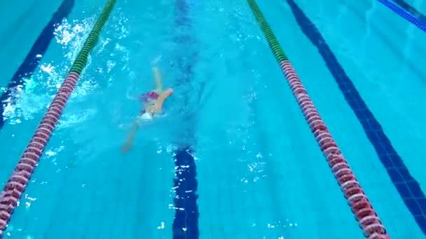 Professioneller Schwimmer, der im Wasserschwimmbecken übt. Ansicht von oben — Stockvideo