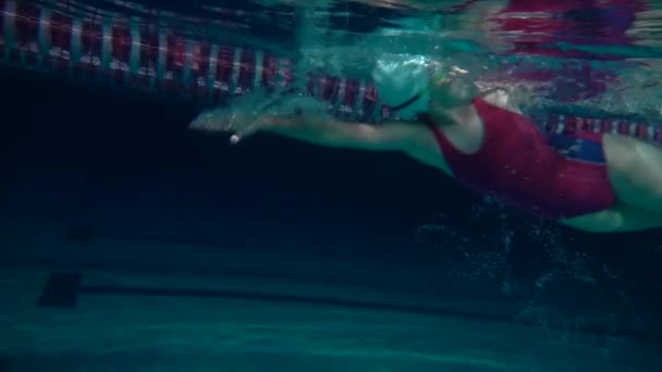 Amator Swimmer Practicing in Water Swimming pool. Female swimmer practicing flip turn. Underwater view. Night shot — Stock Video