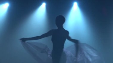 Klasik balenin bale unsurları içinde profesyonel balerin. Kapat.