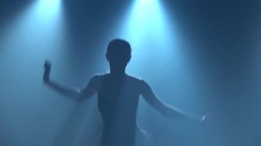 Klasik balenin bale unsurları içinde zarif bir balerin. Kapat.