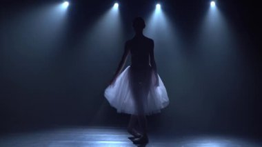 Beyaz etekli, narin balerin klasik balenin dans öğeleri. Kapat.