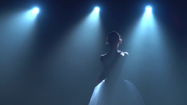 Atractiva bailarina en tutú blanco bailando elementos de ballet clásico. De cerca. — Vídeos de Stock