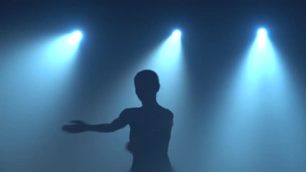 Graciös professionell ballerina i tutu dansande element av balett. Närbild — Stockvideo