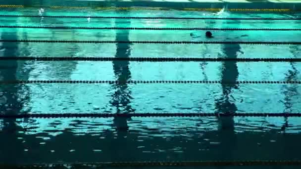 Silhouette nuotatore irriconoscibile in piscina con acqua blu e divisori di piste da nuoto — Video Stock