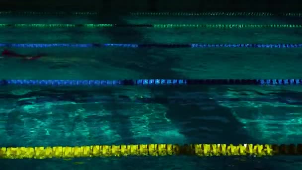 Неузнаваемый силуэт пловца в бассейне с голубой водой и делителями плавательных путей — стоковое видео