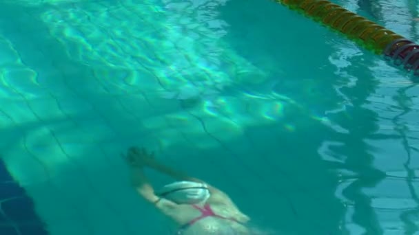 Schwimmerin taucht in Schwimmbad ein. Schwimmerin taucht im Schwimmbad für eine Schwimmübung ab. Ansicht von oben. — Stockvideo