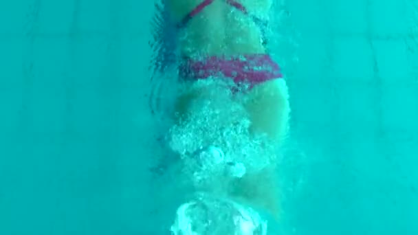 Menina nadadora mergulhar na piscina. A nadadora mergulha na piscina para um exercício de natação. Vista superior . — Vídeo de Stock