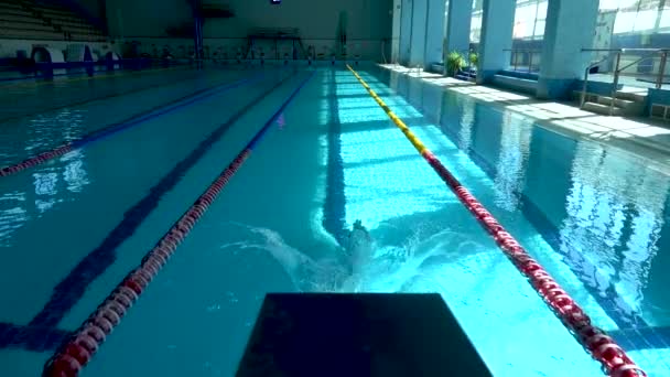 A női úszó mélyvízbe ugrik a medencében lassított felvételen. Női profi úszó búvárkodás és úszás kék vízben. Fibrilláció — Stock videók
