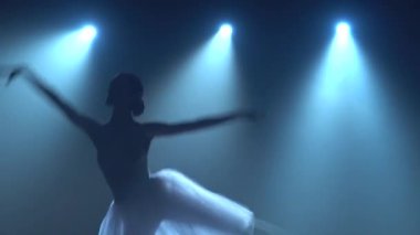 Beyaz etekli muhteşem balerin klasik balerin unsurları. Kapat.