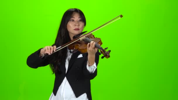 Musicien debout et jouant du violon. Écran vert — Video