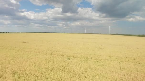 Buğday tarlasında yeşil enerji üreten modern rüzgar türbinleri. Hava İncelemesi — Stok video