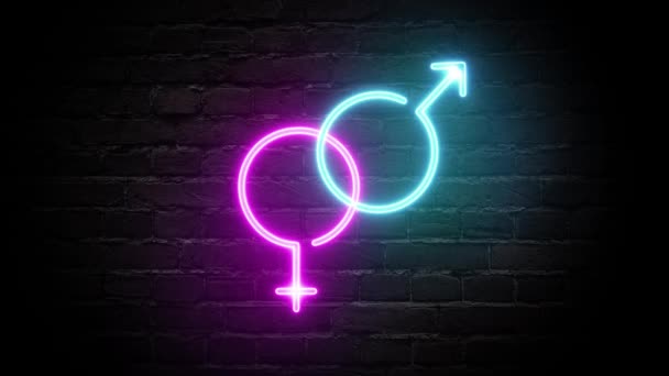 Male and female symbol, neon light on the wall background — Stock Video