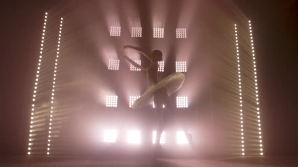 Diligente bailarina joven elegante bailando elementos de ballet clásico en la oscuridad con luz y humo en el fondo. Hermosa bailarina joven en la oscuridad. Práctica de ballet en estudio . — Vídeos de Stock