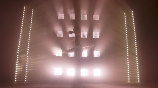 Усердная молодая изящная балерина танцевала элементы классического балета в темноте со светом и дымом на заднем плане. Прекрасная молодая балерина в темноте. Балетная практика в студии . — стоковое видео