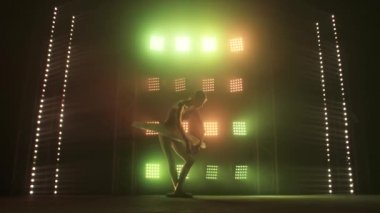 Siluet Bale Dansçısı Kuğu Gölü 'nü sahneledi. Güzellik Konsepti Yavaş Hareket.