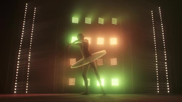 Silhouette Ballet Dancer Performing Swan Lake en el escenario del teatro. Concepto de belleza Slow Motion . — Vídeos de Stock