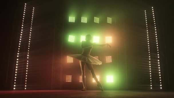 Танцівниця Силуетт Балет Виконує Лебедине озеро на сцені театру. Краса Концепція повільного руху. — стокове відео