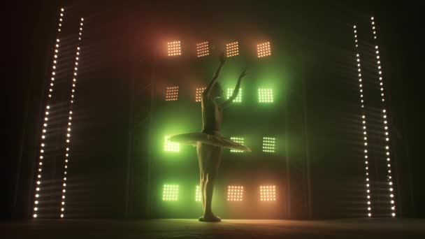 Силуэт танцовщицы балета "Лебединое озеро" на сцене театра. Красота медленного движения . — стоковое видео