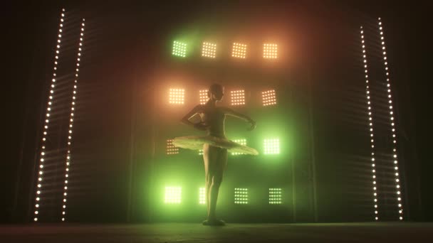 Silhouette Ballet Dancer Performing Swan Lake en el escenario del teatro. Concepto de belleza Slow Motion . — Vídeos de Stock