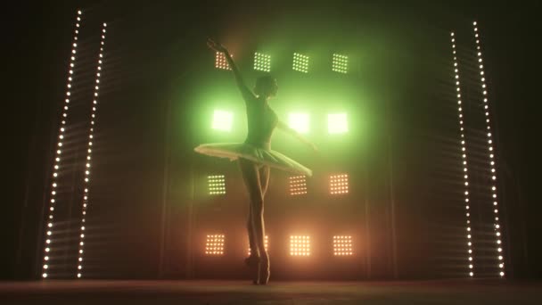 Ballerino di Silhouette che si esibisce sul lago dei cigni sul palco del teatro. Concetto di bellezza Slow Motion. — Video Stock