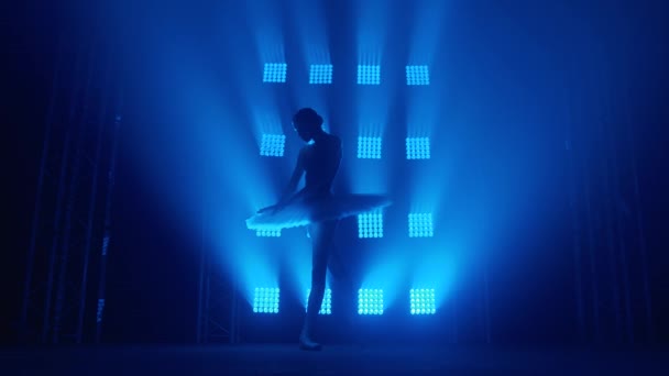 Bailarina de silueta elegante haciendo un entrenamiento en el aula. Humo en los rayos de luz azul. Bailarina de ballet en tutú blanco, chica en punta, gira a tu alrededor, cámara lenta — Vídeos de Stock