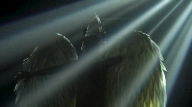 Dans eden Yunan Tanrıçası Artemis 'in silueti, dumanlı ve neon ışıklı karanlık bir stüdyoda sahnede kanatlarıyla. Altın elbiseli ve başlıklı parlak genç bir kadın. Dinamik neon ışıklandırma efektleri