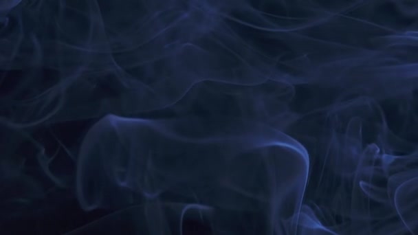 Абстрактное облако дыма. Синий дым медленно плавает в пространстве на черном фоне. Закрывай. Медленное движение. — стоковое видео